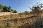108 ac Land at Kilifi Plantation - 6