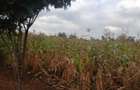 Land in Runda - 2