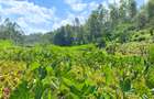 1 ac Land at Muchatha - 7