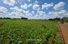10 ac Land at New Kitisuru - 4