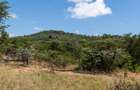 30.3 ac Land at Lolldaiga Valley - 6