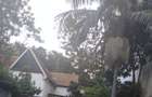 Land in Lavington - 4