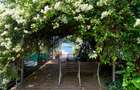 Serviced 3 Bed Apartment with En Suite in Nyali Area - 10
