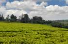 0.5 ac Land at Riara Ridge Tigoni - 3