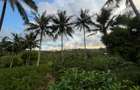 0.75 ac Land at Ls139 - 2