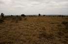 Land at Umma University - 1