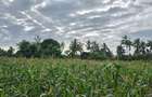 6 ac Land at Bomani - 8