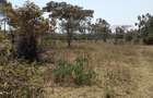 Residential Land at Merisho Road - 3