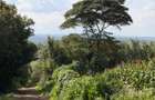 0.025 ac Land in Ngong - 7