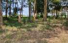 Residential Land at Karen The Hip Road - 8