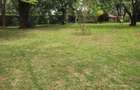 5 Bed House with En Suite at Hardy Area - 17