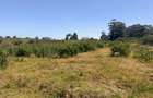 500 m² Land at Ruiru-Githunguri Road - 5