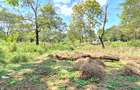 Residential Land at Shanzu Road - 23