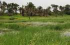 32 ac Land in Diani - 3