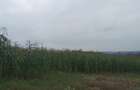 1 ac Land in Redhill - 3