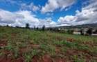 Land at Kibiko - 17
