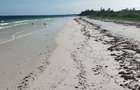 Land in Kilifi - 6