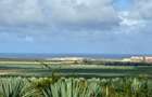 5 ac Residential Land at Vipingo Kingswood Estate - 3
