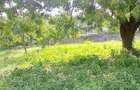 Land at Diani Beach Road - 8