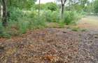 Land in Watamu - 4