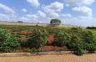 Residential Land at Zaria - 5