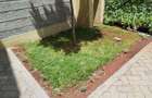 4 Bed Villa with En Suite at Syokimau - 19