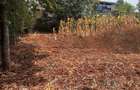 0.25 ac Land in Nyeri - 4