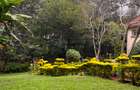 0.75 ac Land in Lavington - 2