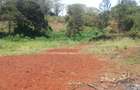 0.5 ac Residential Land at Muthithi - 13