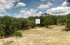 13 ac Land at Sekenani - 1