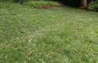 Residential Land at Thika Superhighway - 5