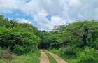 Land at Kuruwitu Beach Vipingo - 14