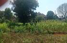 1 ac Land at Ngecha - 4