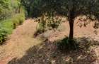 4 Bed House with En Suite in Karen - 5