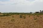 Land in Kilifi - 7