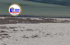 Land in Watamu - 15