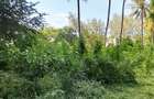 Land at Mtwapa - 5