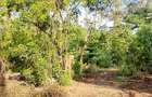 Land at Malindi Mombasa Road - 5
