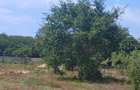 1,000 m² Residential Land at Vipingo - Kuruwitu - 9