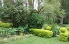 2 Bed House with En Suite at Off James Gichuru Rd - 2