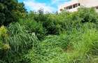 Land at Malindi - 2
