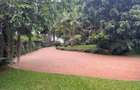 4 Bed House with Garden in Muthaiga - 7
