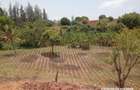 2.41 ac Land at Makonde Rd - 1