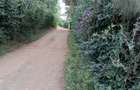 0.5 ac Land at Ololua - 10