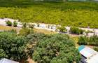 2 ac Land at Watamu Mida - 3