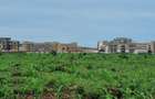 Land in Vipingo - 1