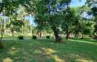 3.7 ac Land at Serena - 9