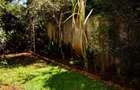 5 Bed House in Kilimani - 3
