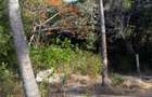 30,353 m² Commercial Land in Mtwapa - 4