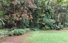 0.75 ac Land at Near The Junction Mall - 2